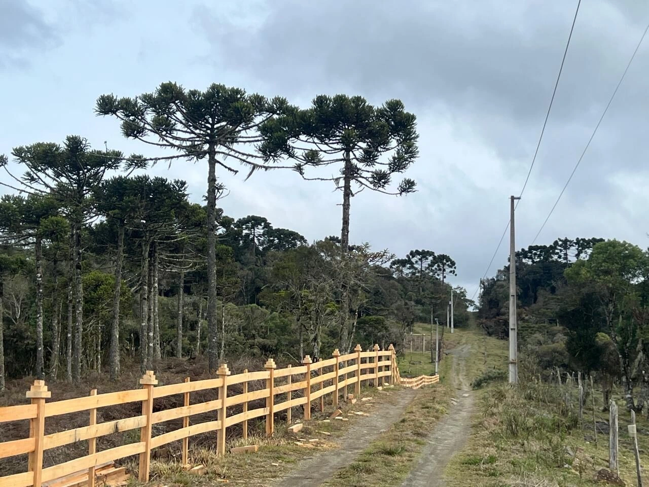 Terreno de 2 Hectares com Acesso à Água em Santa Terezinha — foto 1