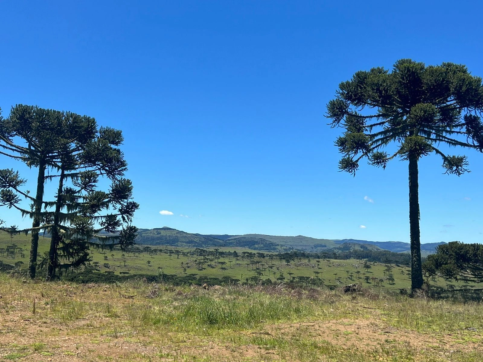 Terreno de 2 Hectares com Vista para a Serra em Bom Sucesso — foto 1