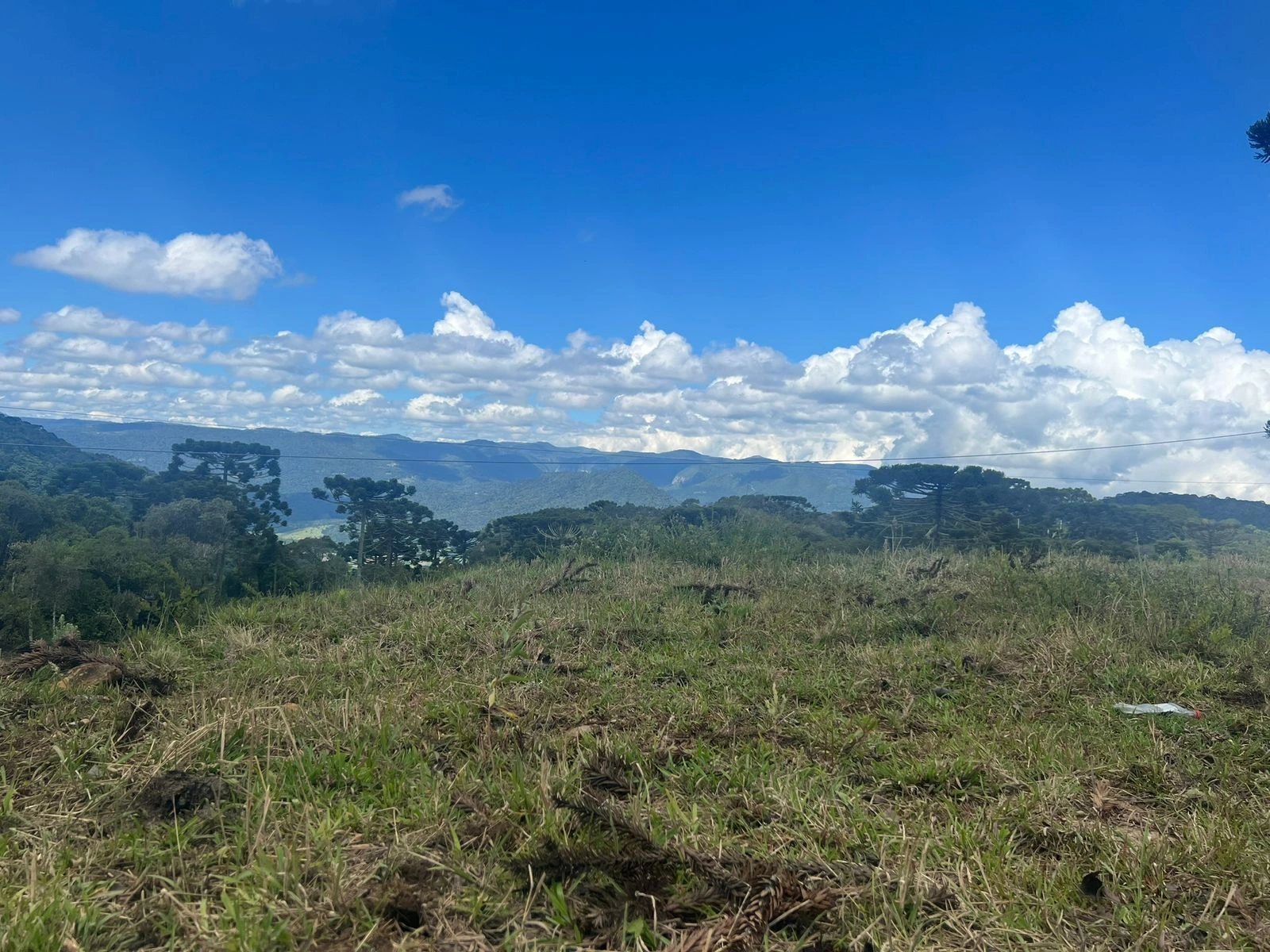 Terreno de 20.000m² com Vista para a Serra no Parque Das Araucárias — foto 1