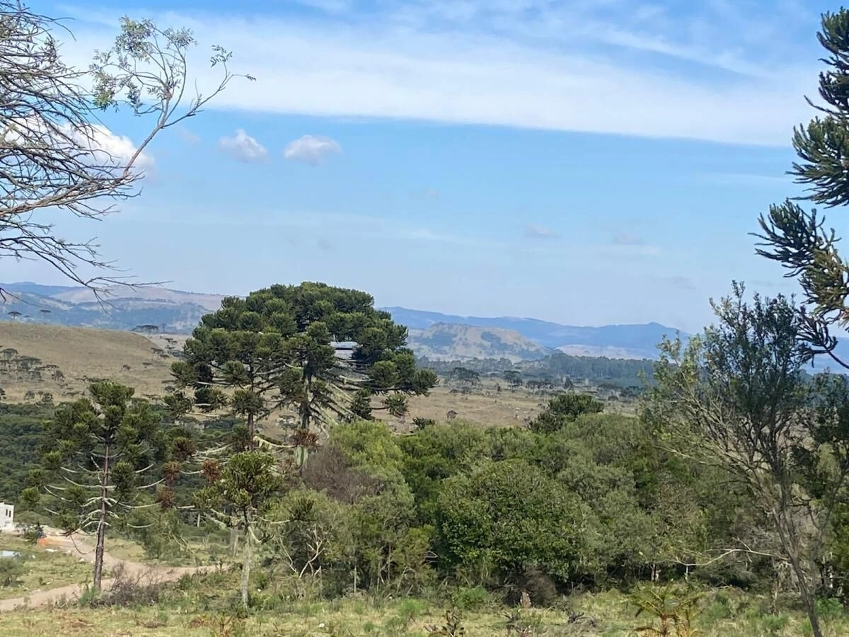Terreno de 64.000 m² com Vista para a Serra em Urubici, SC — foto 1