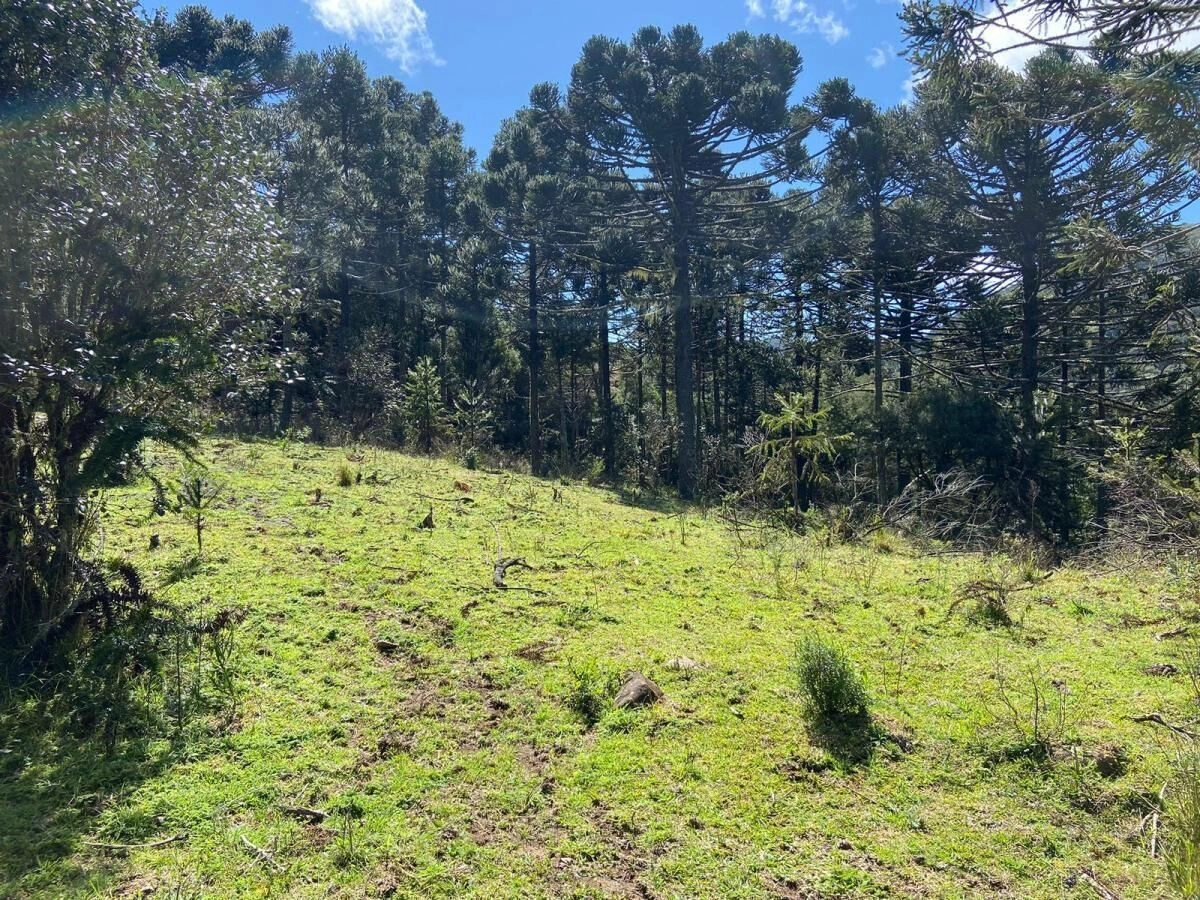 Terreno de 14,9 Hectares com Rio e Vista Panorâmica em Urubici, SC — foto 1