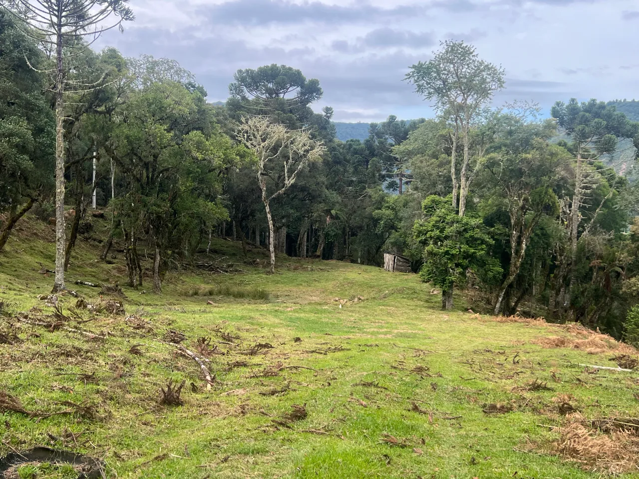 Sítio em Urubici em Frente ao Asfalto com Rio, Vista e 20.000m² — foto 1